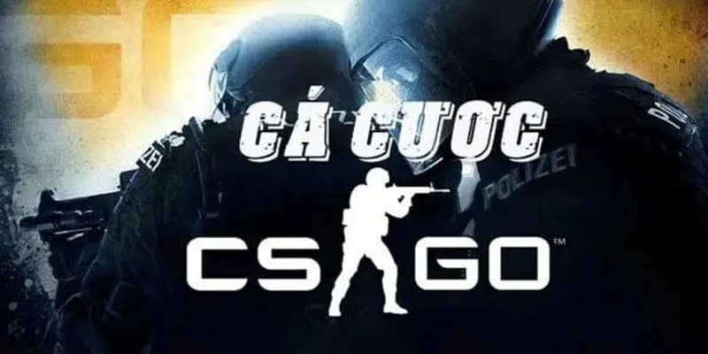 Cá cược CSGO là gì