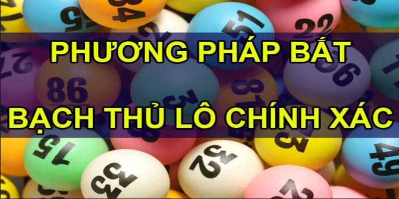 Bí Quyết Chơi Bạch Thủ Lô Hiệu Quả